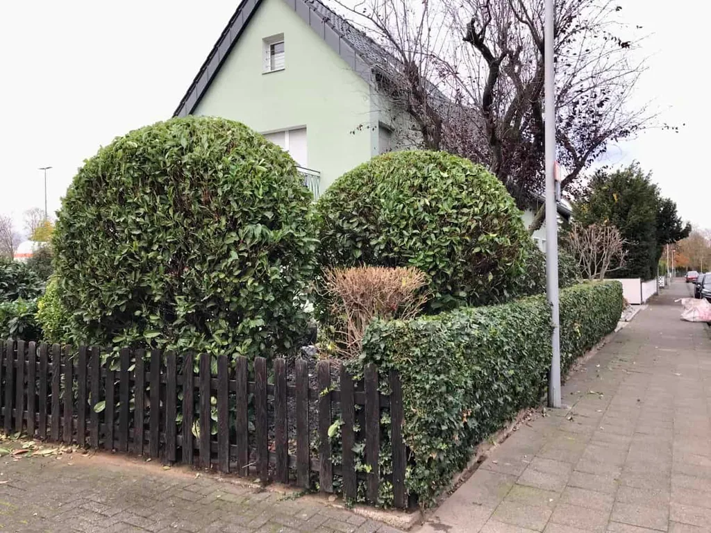 Hausmeisterservice & Objektbetreuung: Detailaufnahme bei der Arbeit